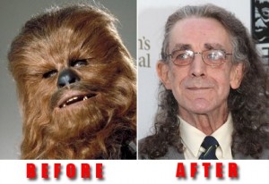 Peter-Mayhew-–-Chewbacca-While-working-as-a-hospital-orderly-in-London-the-7-foor-3.-When-Mayhew-attended-a-casting-call-for-Star-Wars-he-got-the-job-the-moment-he-stood-up-to-shake-Lucass-hand.